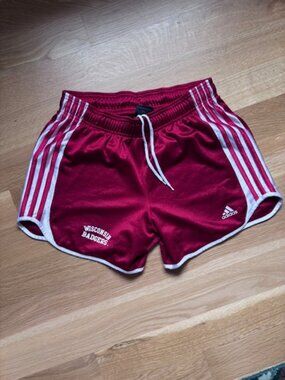 Wisconsin Badgers Adidas Shorts